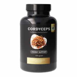 Cordyceps (Sinensis) - Supporto energetico - 100 grammi